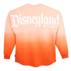 Disneyland Two-Tone Spirit Jersey For Adults