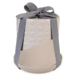 Mickey Mouse Icon Plant Pot And Saucer, Disney Homestead Collection -Magic Mode Shop 465043672339 3